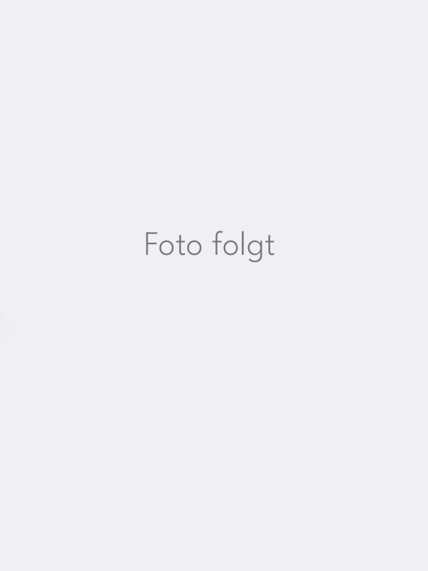 Bild folgt